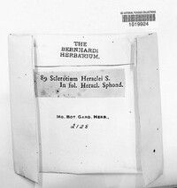 Image Associated With the Occurence